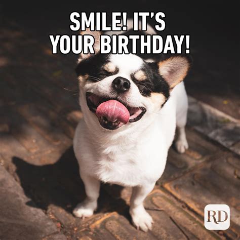 humorous birthday memes|cool happy birthday memes.